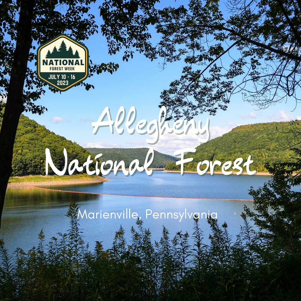 Allegheny National Forest