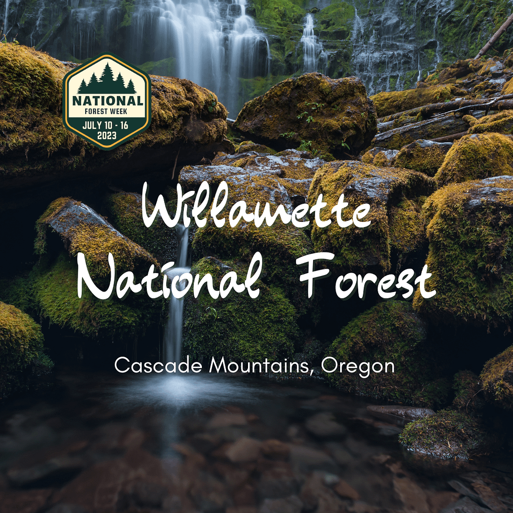 Willamette National Forest