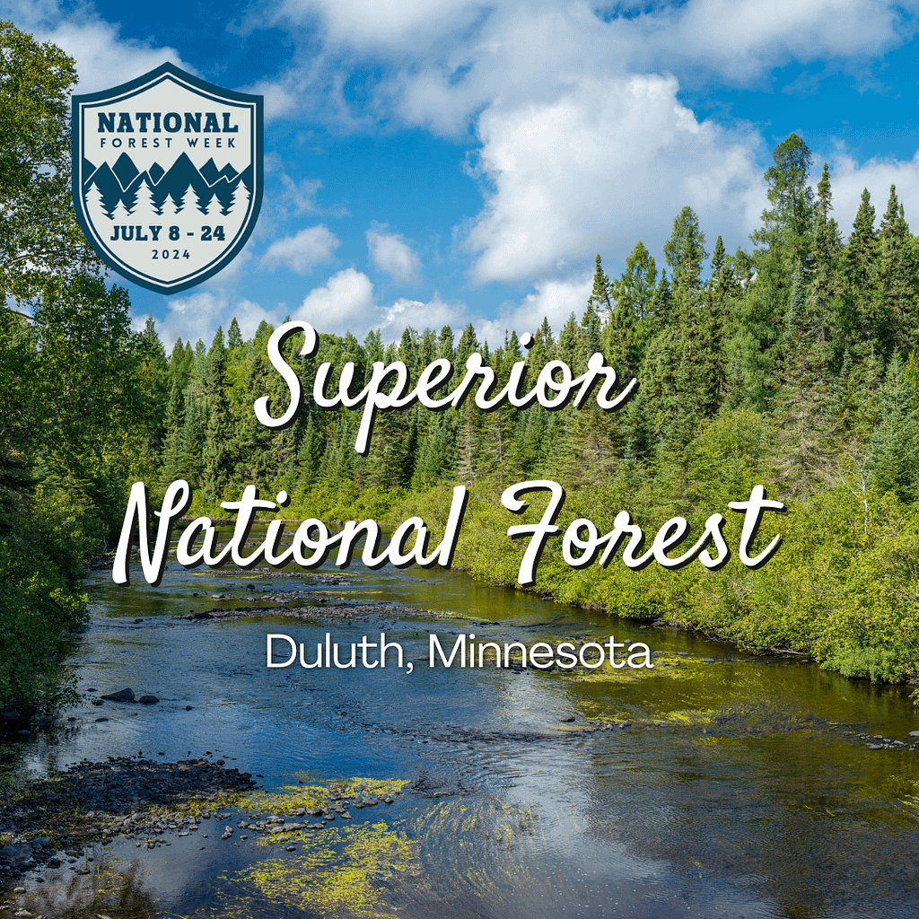 Superior National Forest
