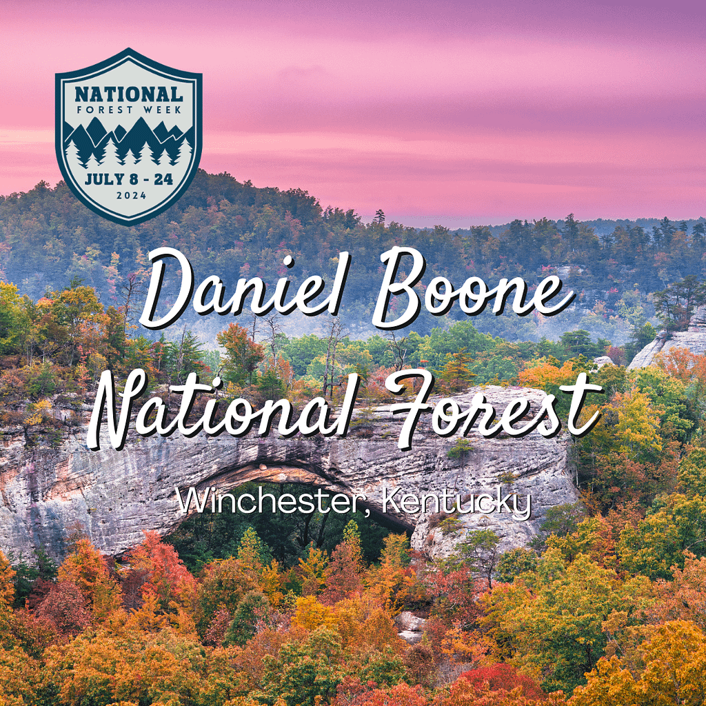 Daniel Boone National Forest