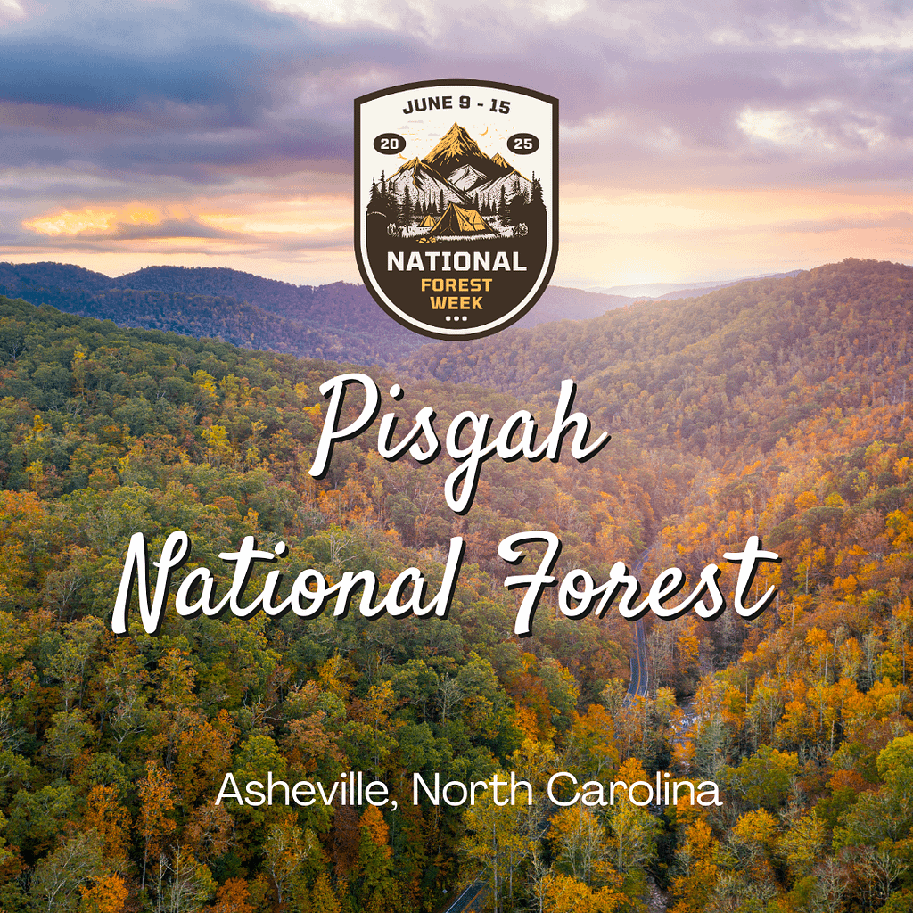 Pisgah National Forest