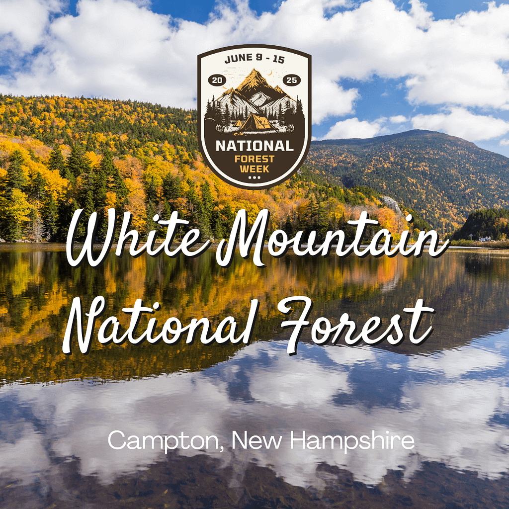 White Mountain National Forest