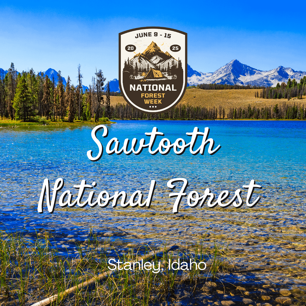 Sawtooth National Forest