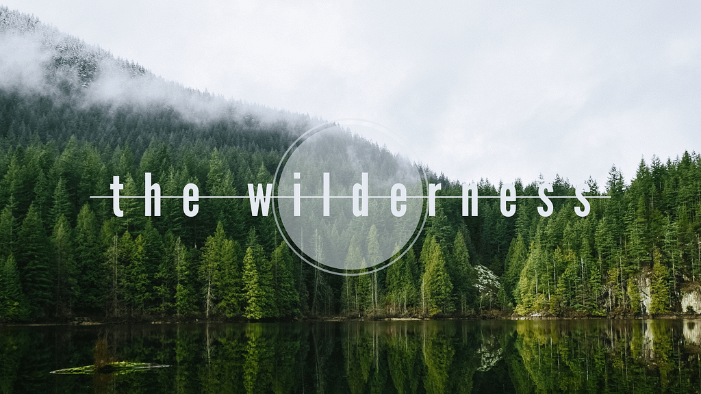 the wilderness