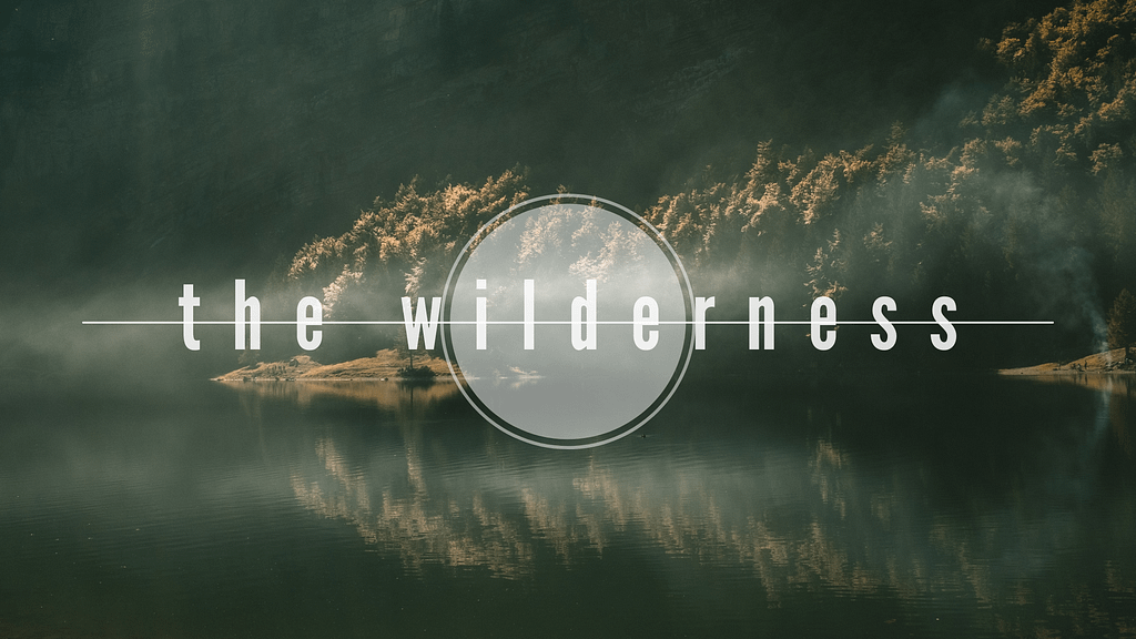 The test of the wilderness