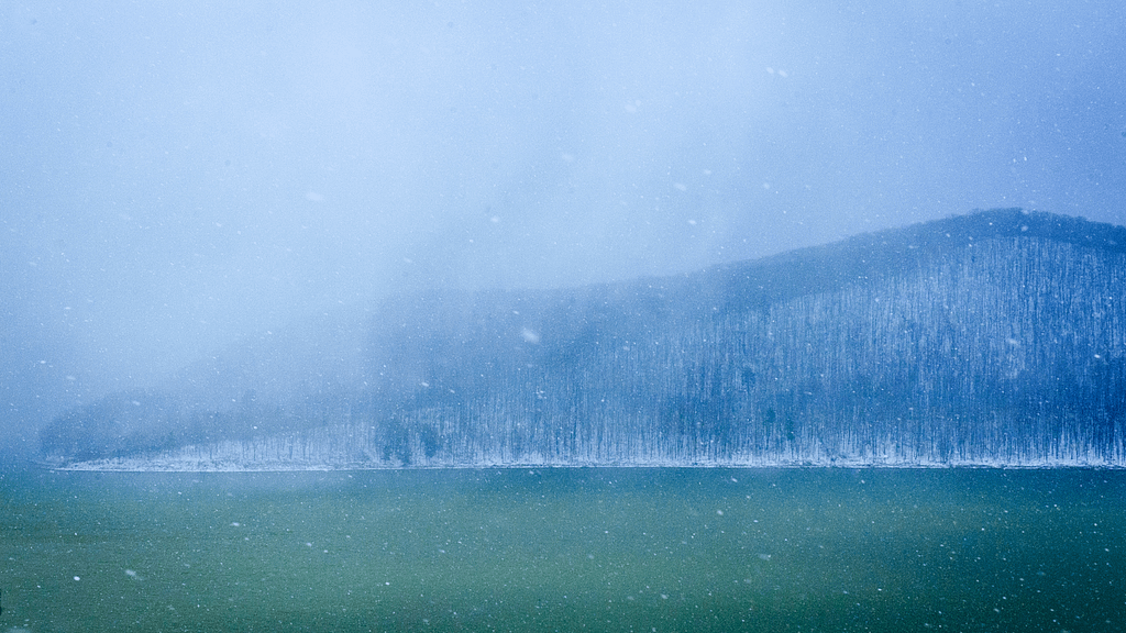 Allegheny National Forest