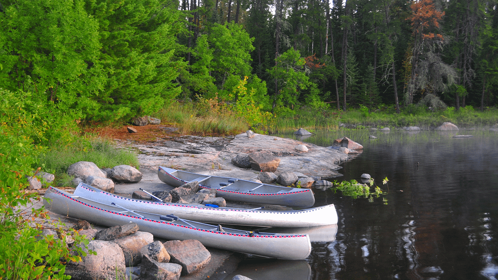 Superior National Forest