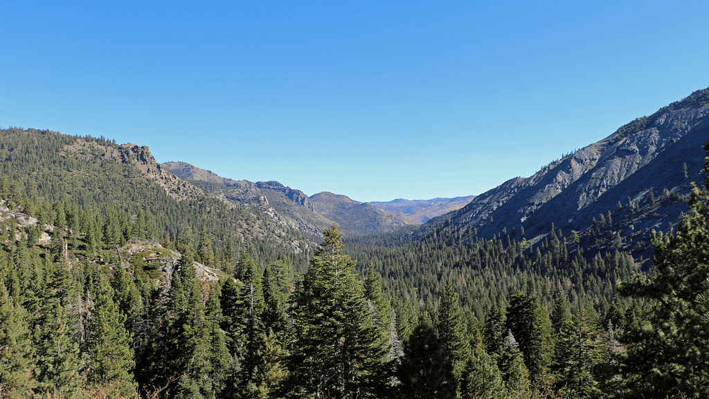 Stanislaus National Forest