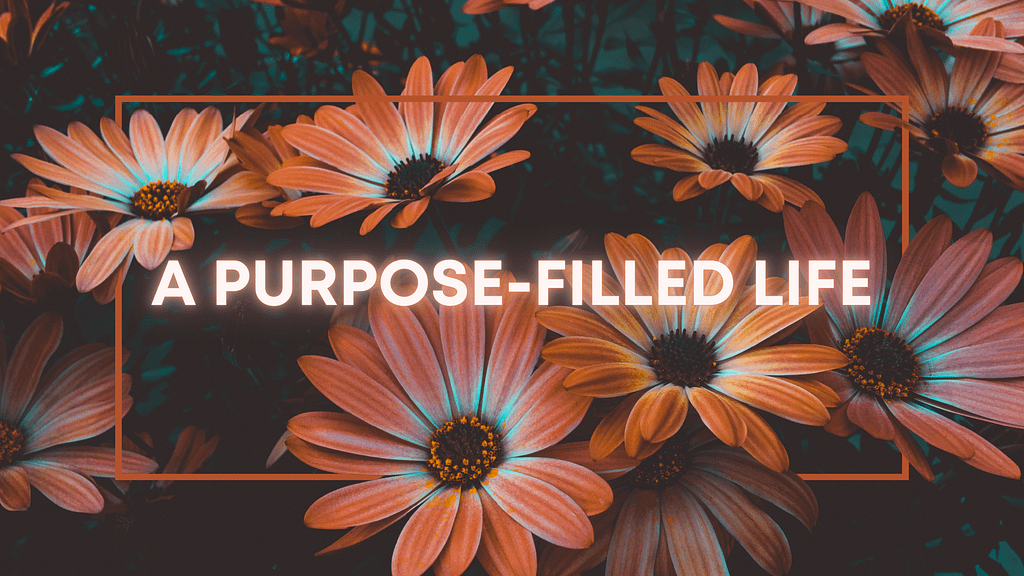 A Purpose-Filled Life