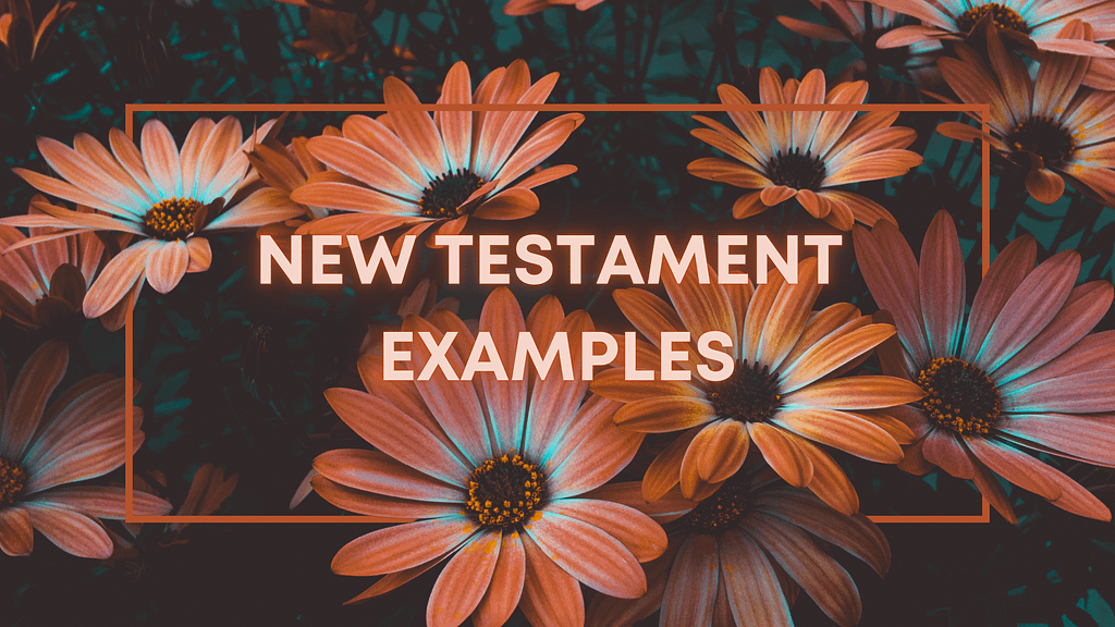 New Testament Examples