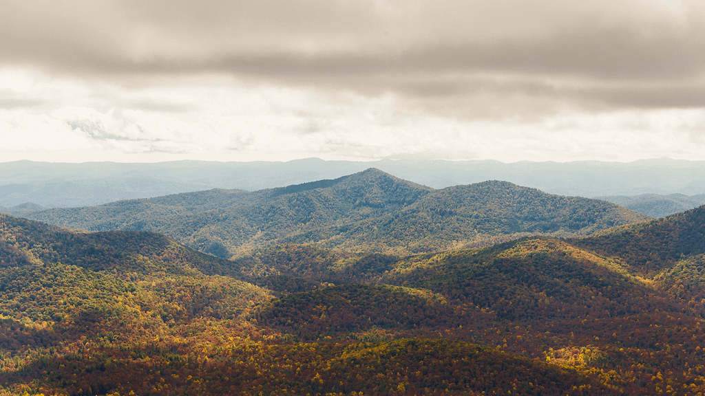 Pisgah National Forest