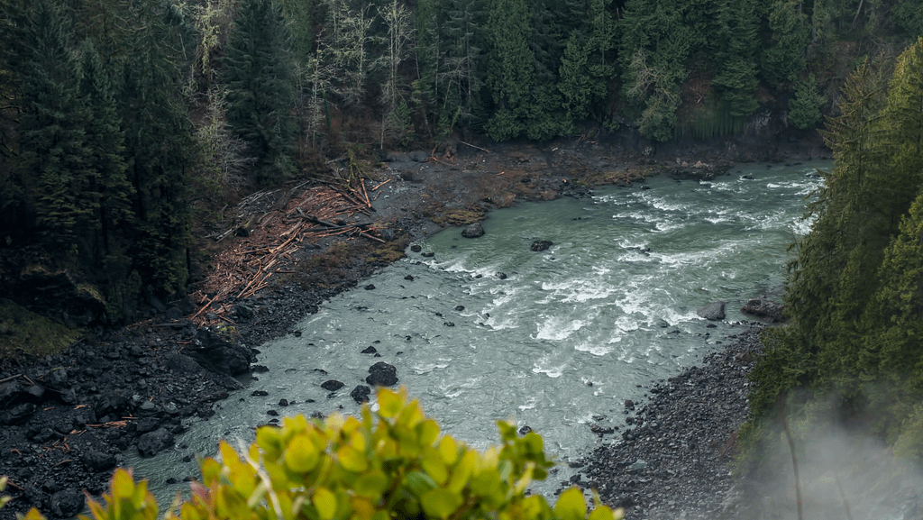 Mount Baker-Snoqualmie National Forest