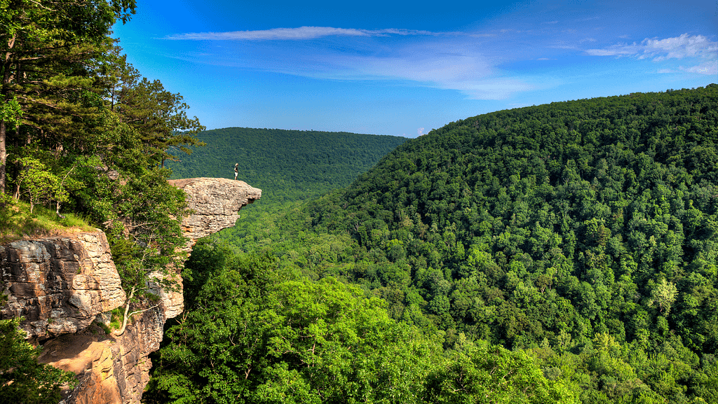 Ozark - St. Francis National Forest