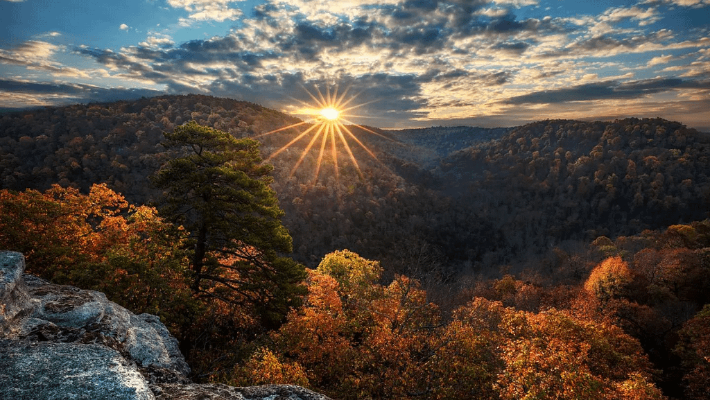 Buffalo - St.Francis National Forest