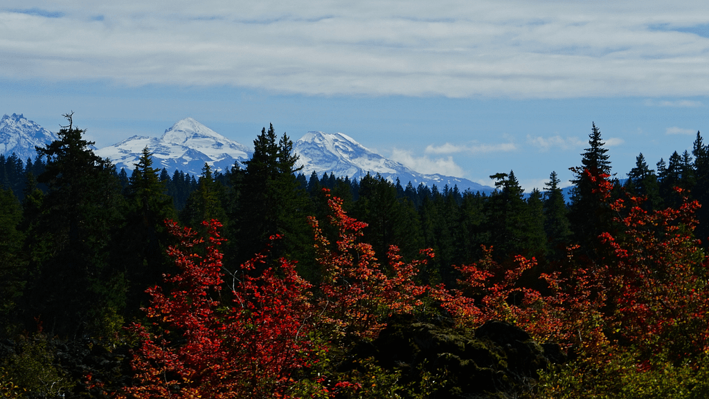 Willamette National Forest