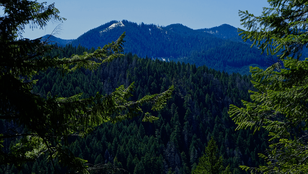 Willamette National Forest