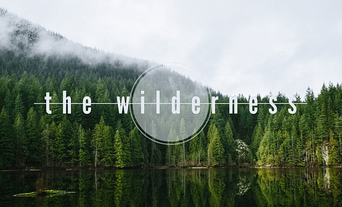 the wilderness