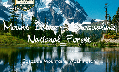 Mount Baker-Snoqualmie National Forest