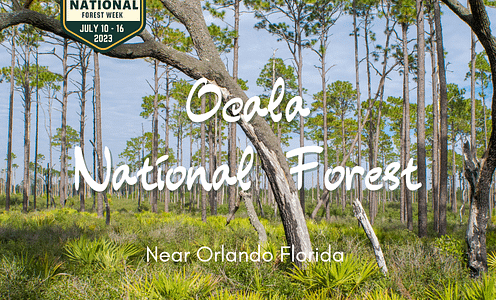 Ocala National Forest