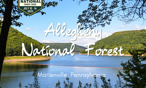 Allegheny National Forest