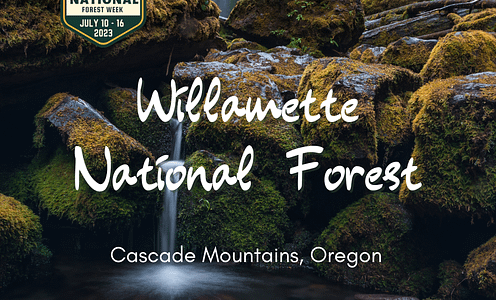 Willamette National Forest
