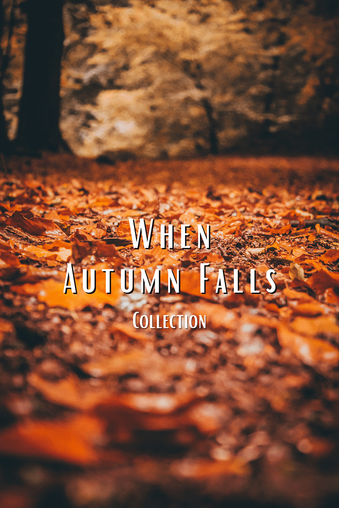 The Autumn Collection