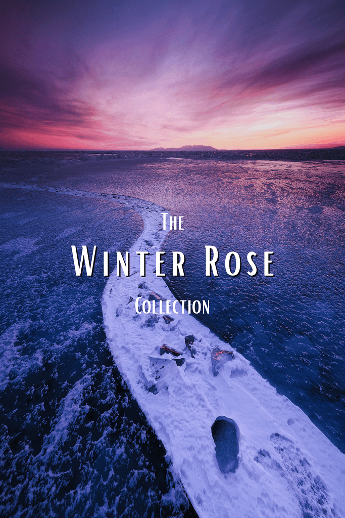 The Winter Collection