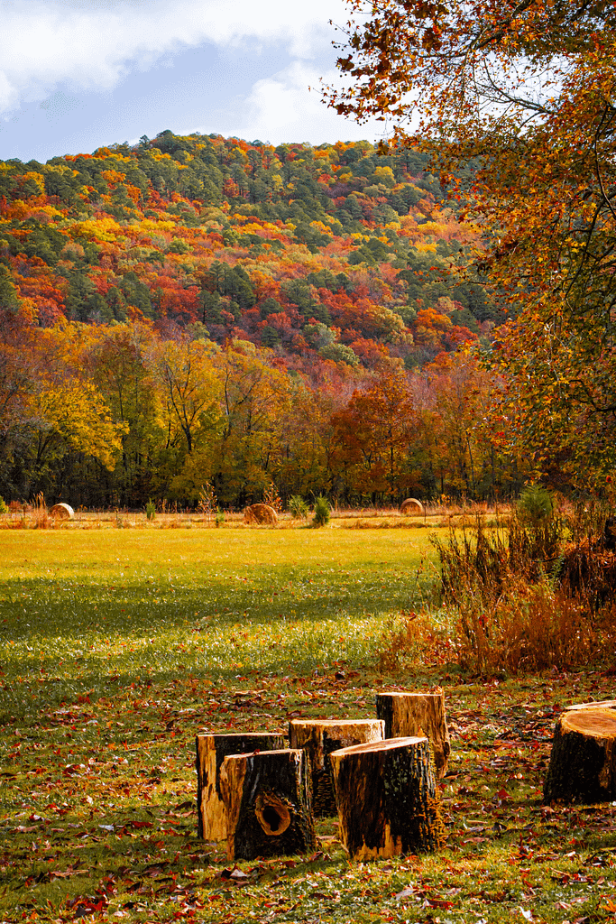 Ozark - St. Francis National Forest