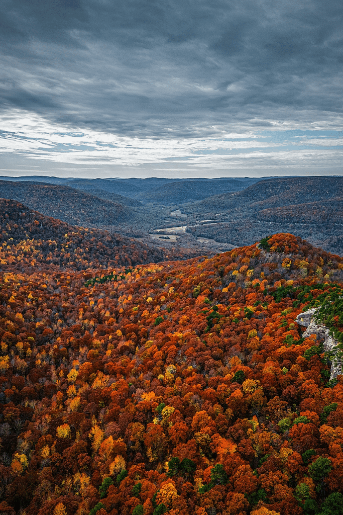 Ozark - St. Francis National Forest