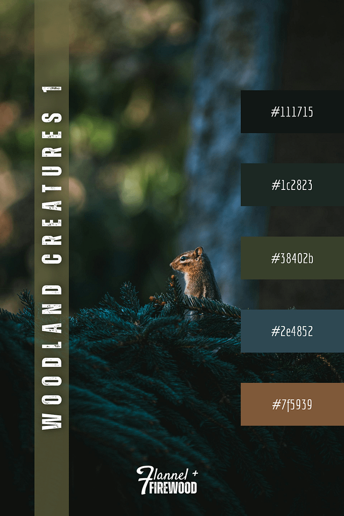 The Woodland Creatures Collection 1 