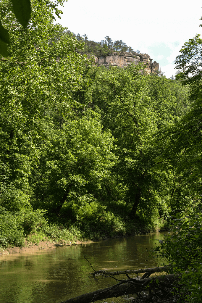 Daniel Boone National Forest