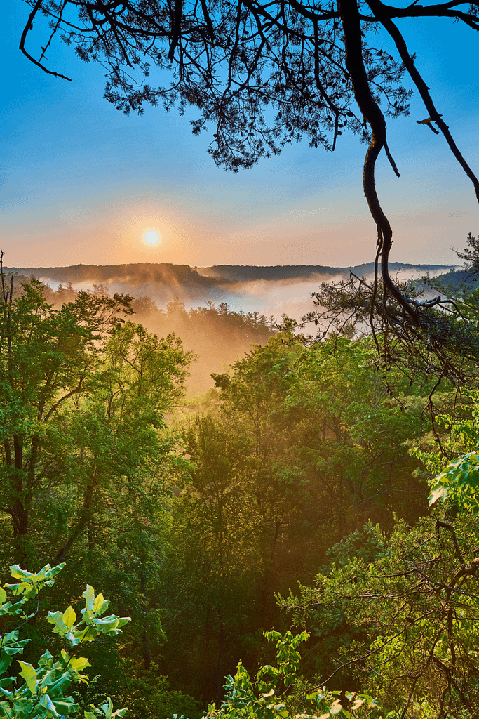 Daniel Boone National Forest