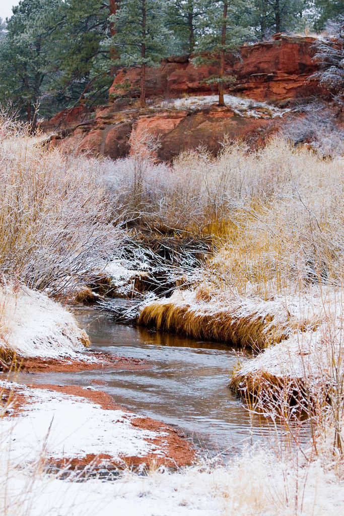 Pike-San Isabel National Forest