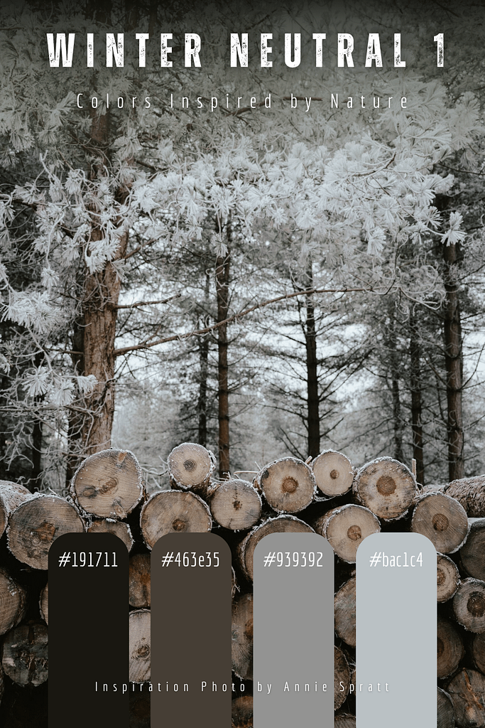 The Winter Neutral Collection