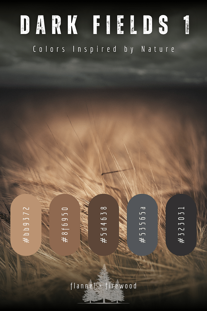 The Dark Fields Collection