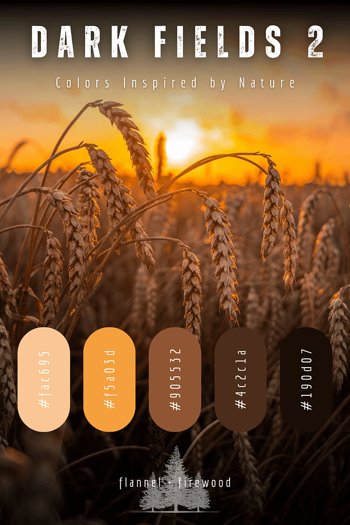 The Dark Fields Collection