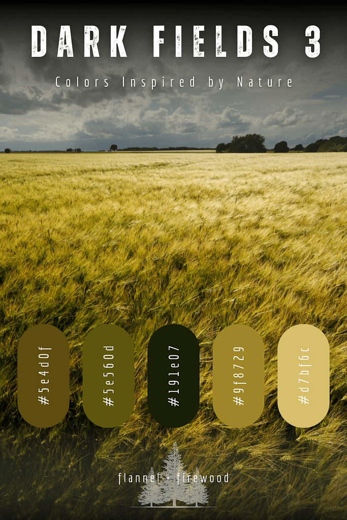 The Dark Fields Collection