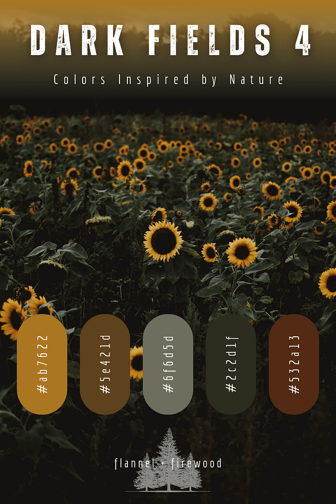 The Dark Fields Collection