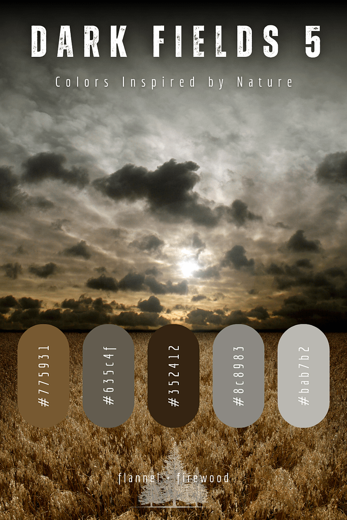 The Dark Fields Collection