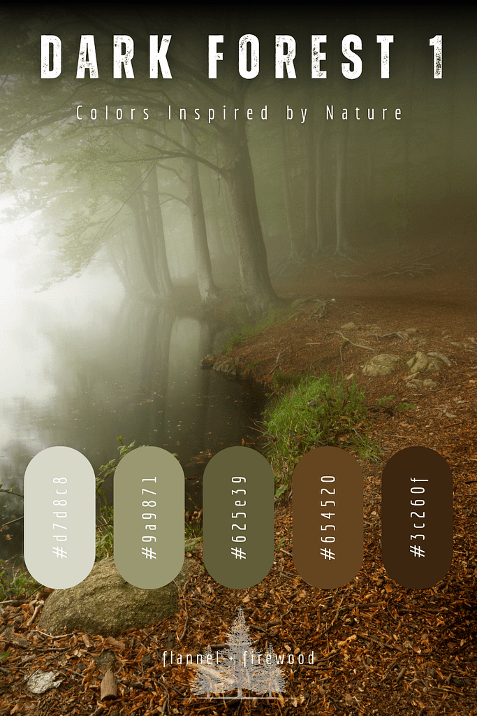 The Dark Forest Collection