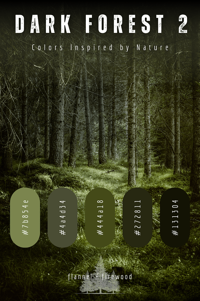 The Dark Forest Collection