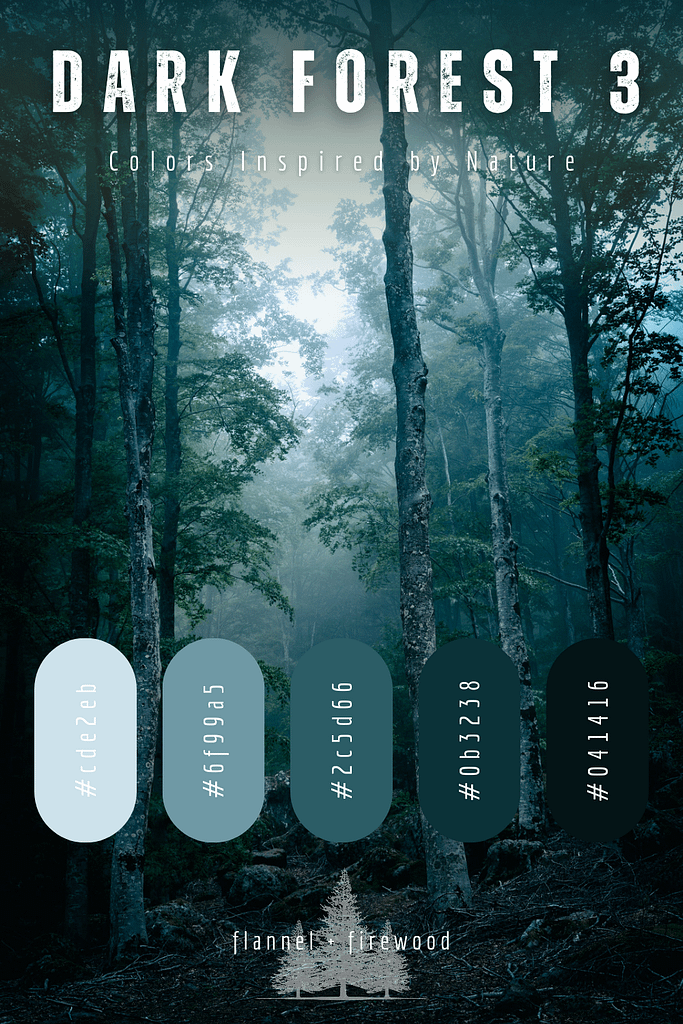 The Dark Forest Collection