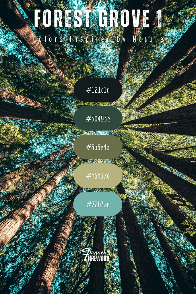 The Forest Grove Collection 