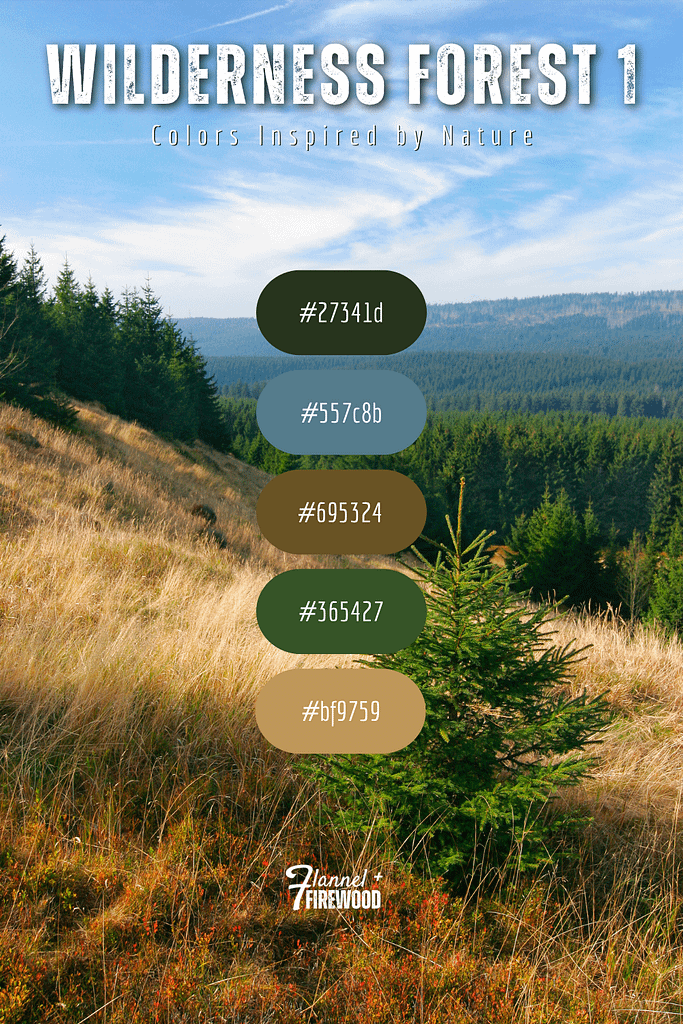 The Wilderness Forest Collection 