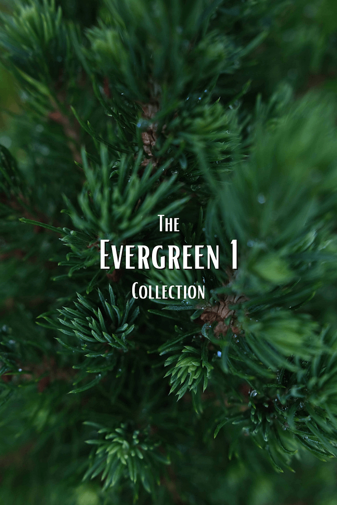 The Evergreen Collection