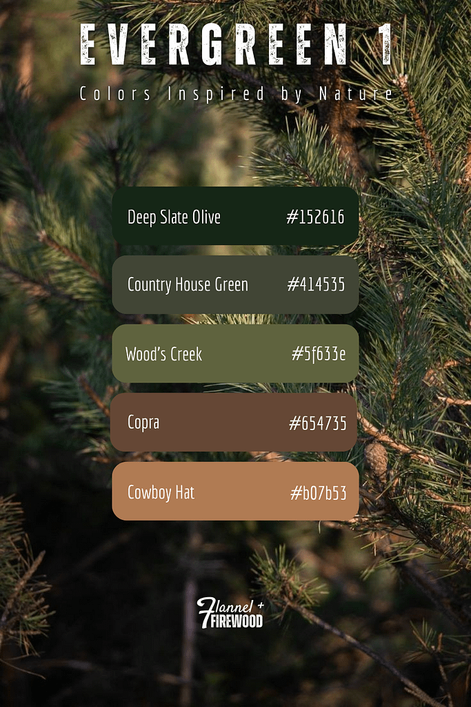 The Evergreen 1 Collection 