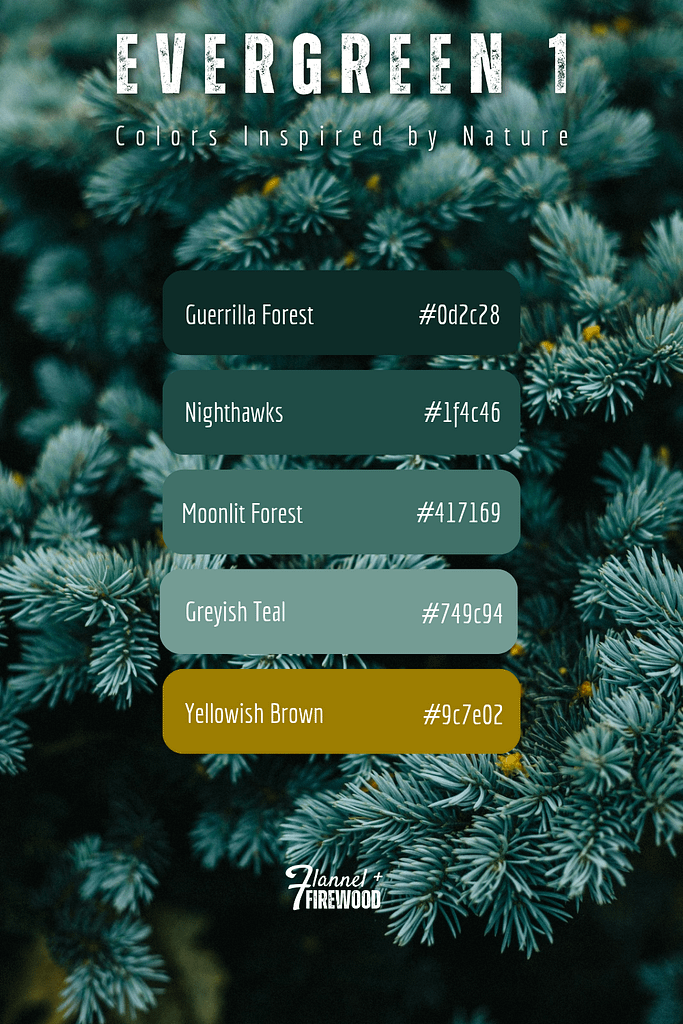 The Evergreen 2 Collection