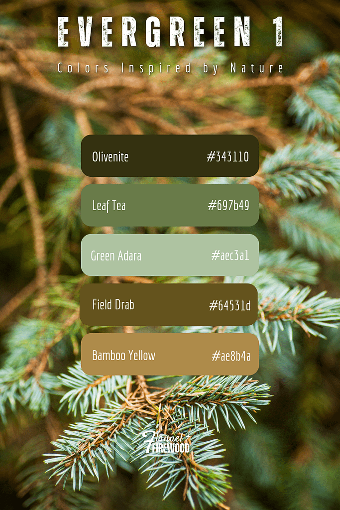 The Evergreen 3 Collection 