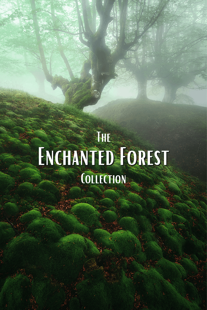 The Forest  Collection