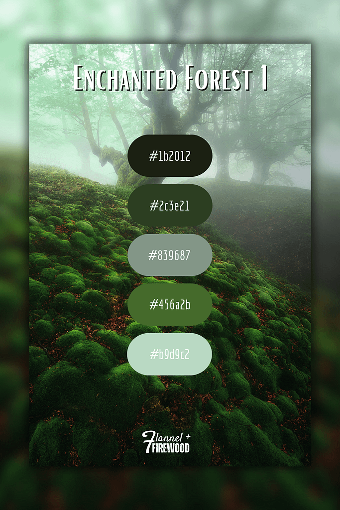 The Enchanted Forest Collection 